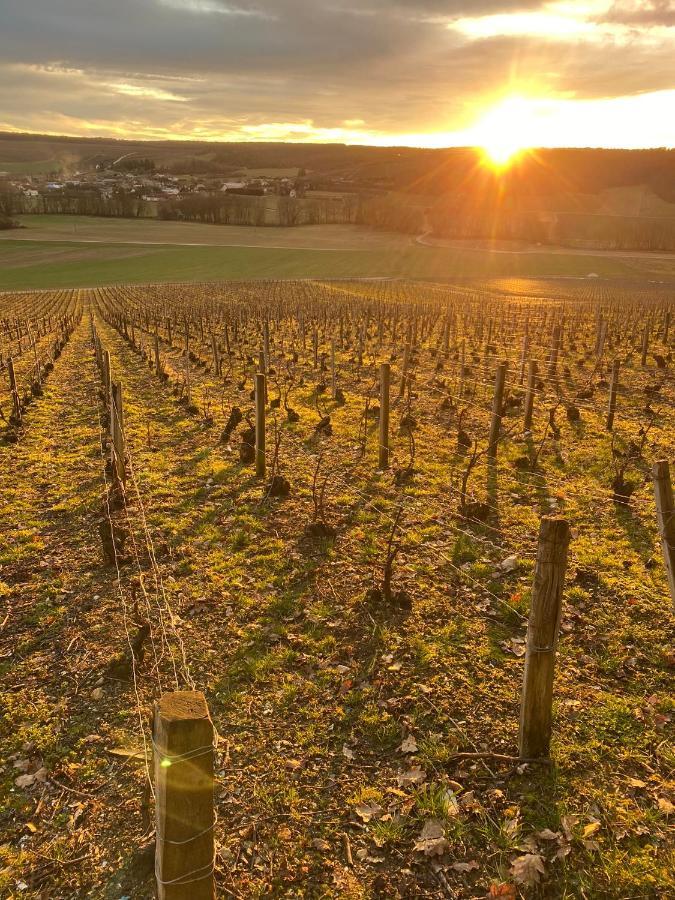 Nuit'S Feerique En Champagne Villa Meurville Luaran gambar