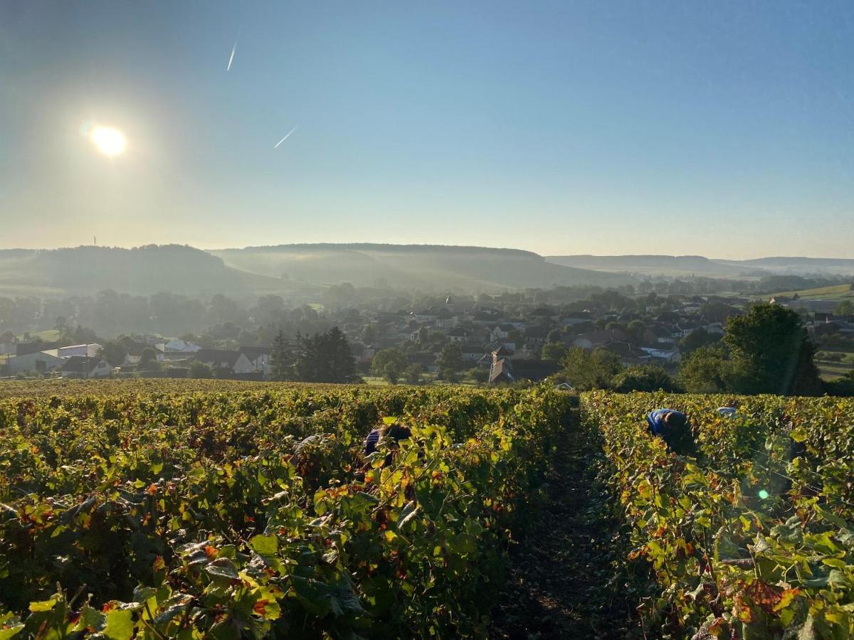 Nuit'S Feerique En Champagne Villa Meurville Luaran gambar