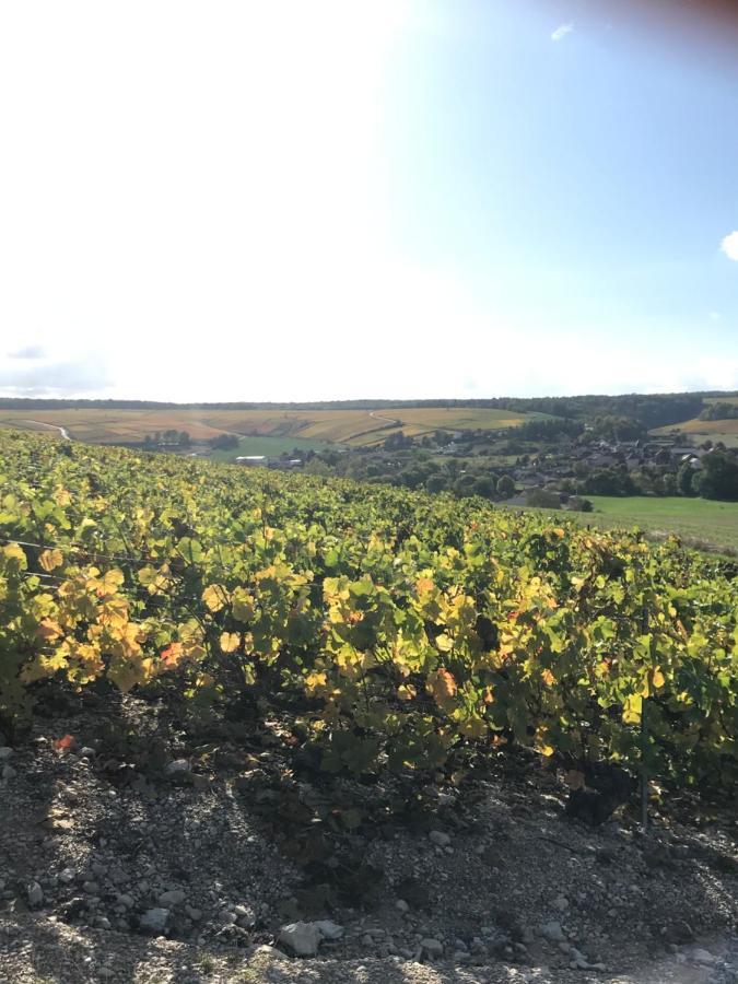 Nuit'S Feerique En Champagne Villa Meurville Luaran gambar